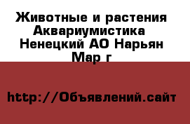 Животные и растения Аквариумистика. Ненецкий АО,Нарьян-Мар г.